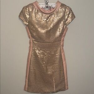 Camilyn Beth Elegant Sequin Mini Dress in Gold Pink. B7